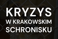 Co się dzieje w krakowskim schronisku? Zaniedbania ze strony KTOZ przyczyną wielkiego kryzysu&nbsp;